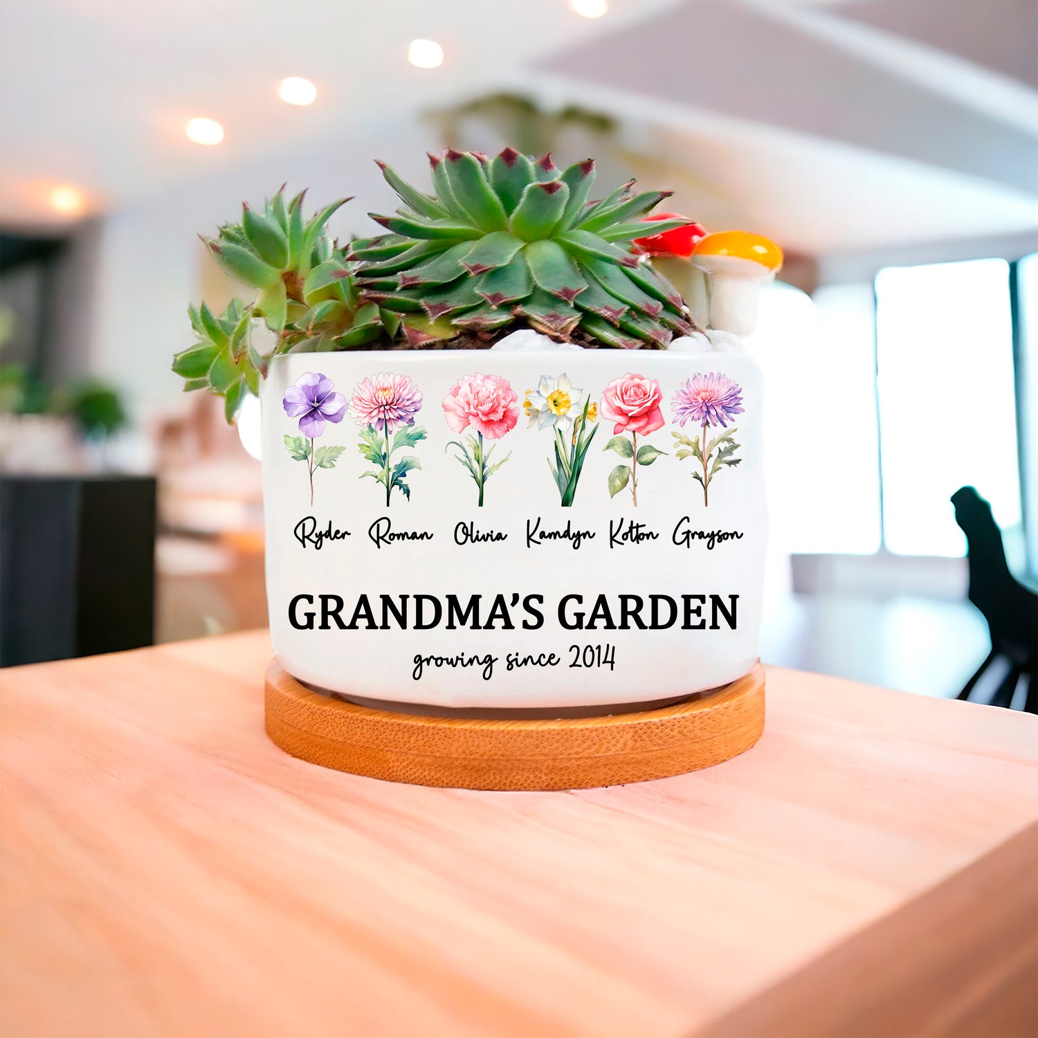 Succulent Birth Flower Planter Pot