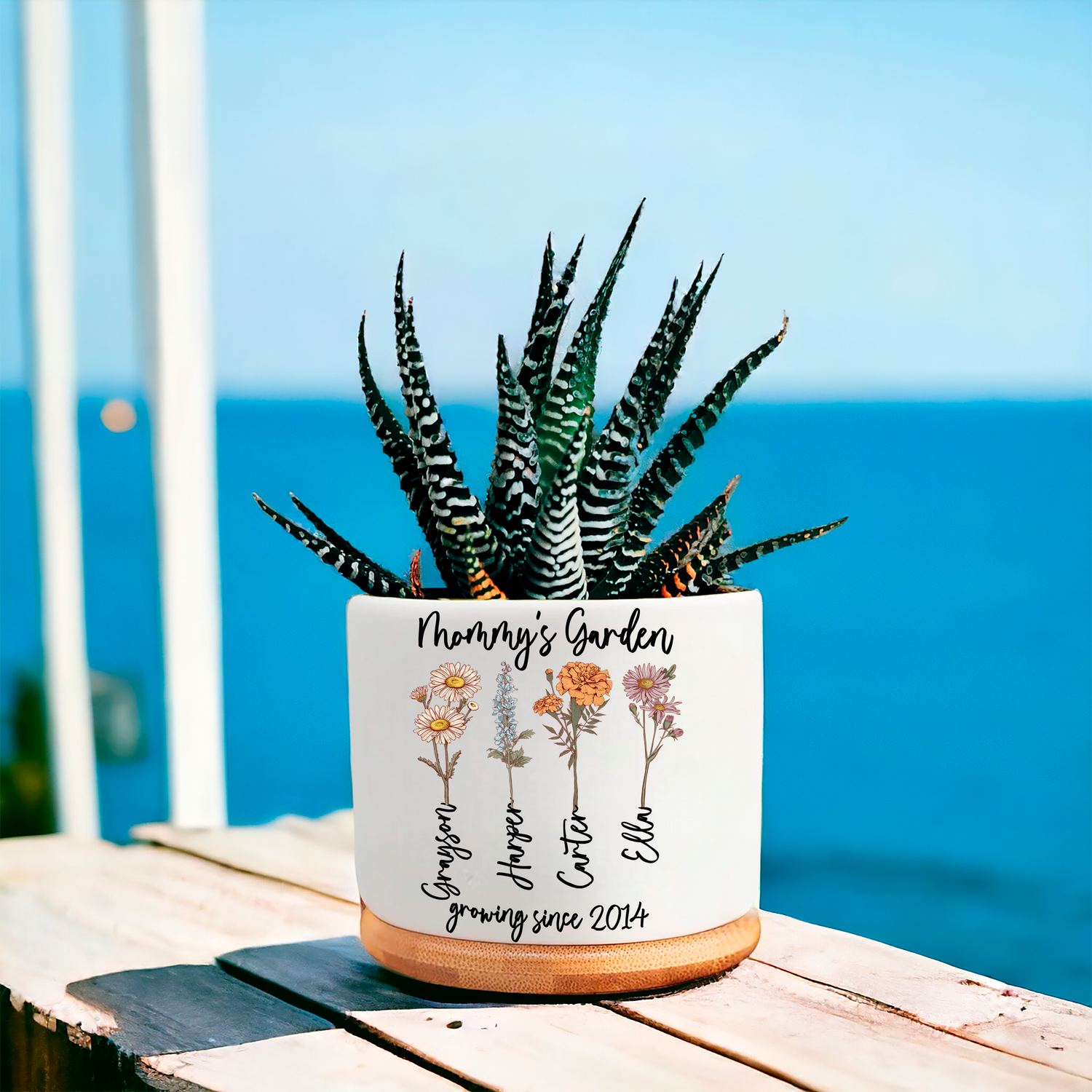 Antique Succulent Birth Flower Planter Pot