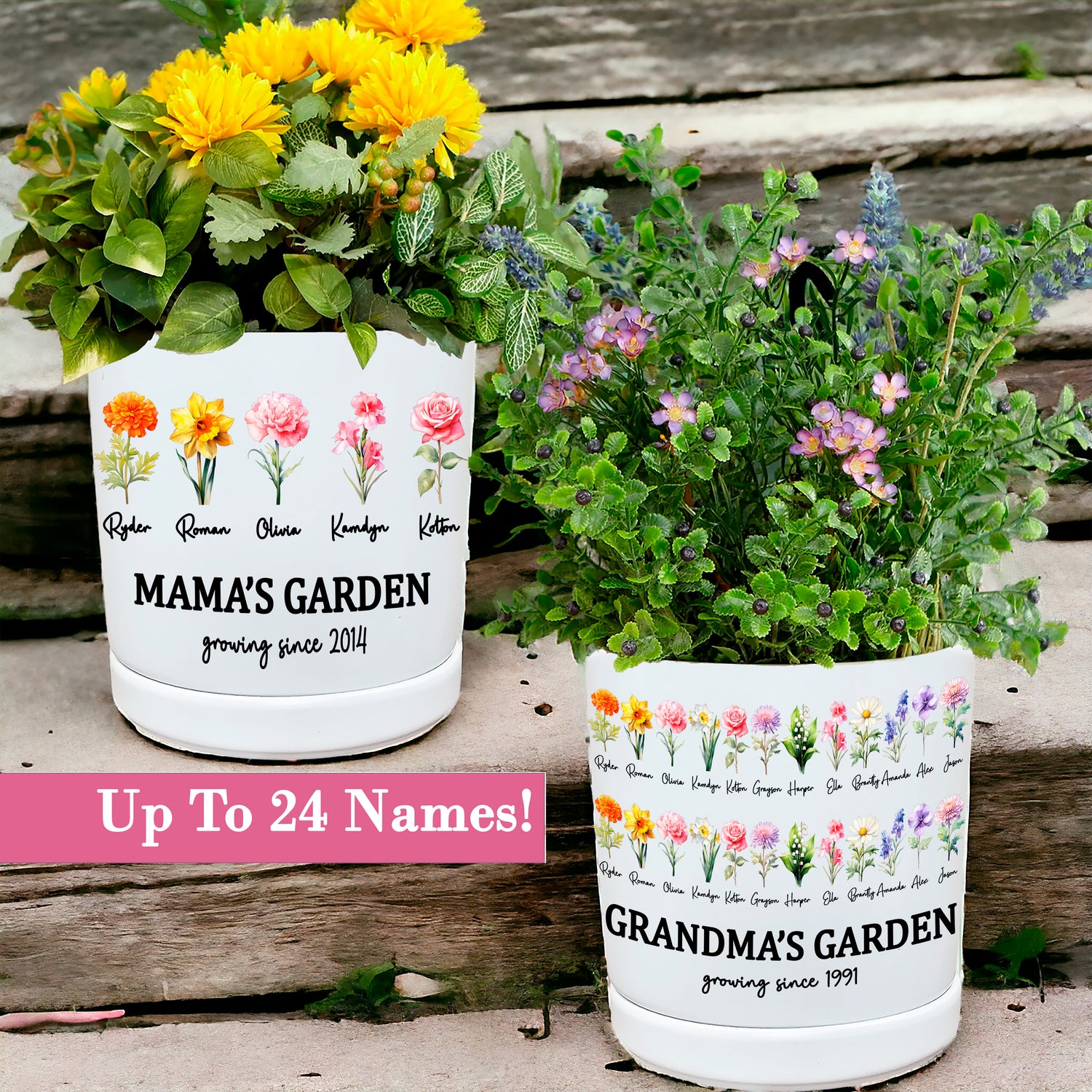 Succulent Birth Flower Planter Pot