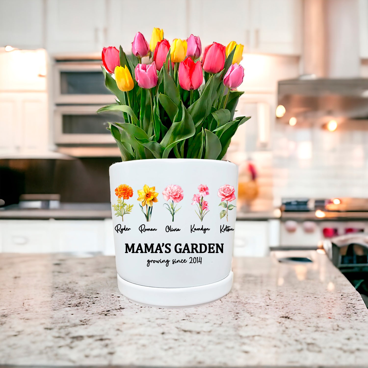 Succulent Birth Flower Planter Pot