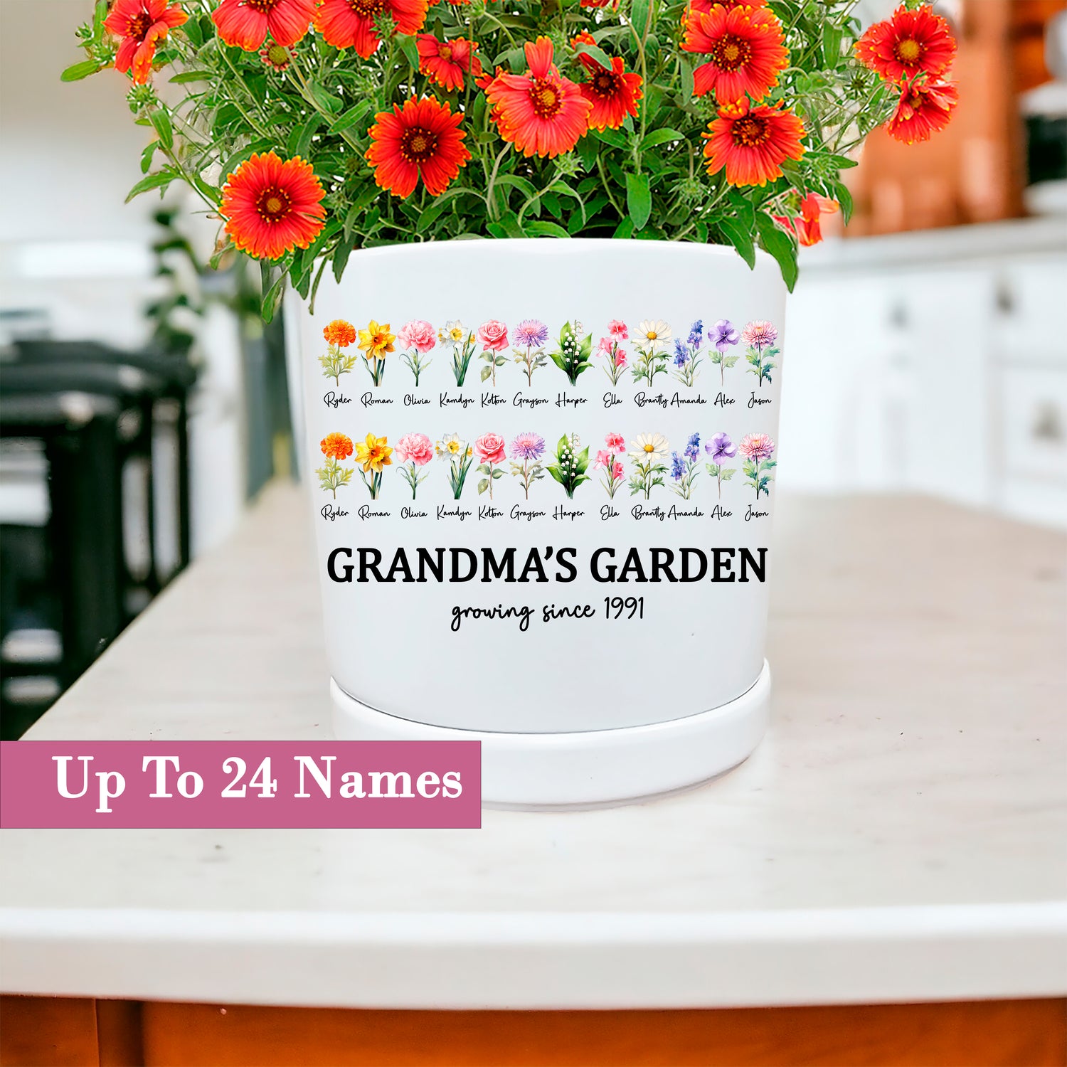Succulent Birth Flower Planter Pot