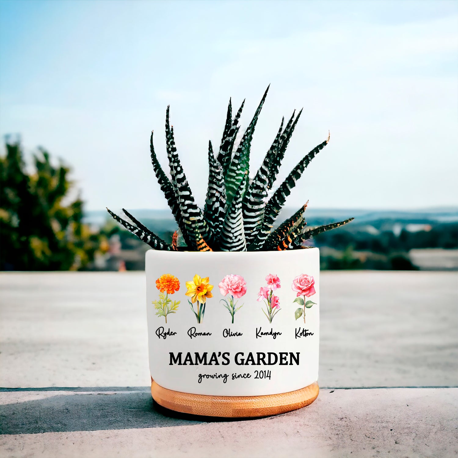 Succulent Birth Flower Planter Pot