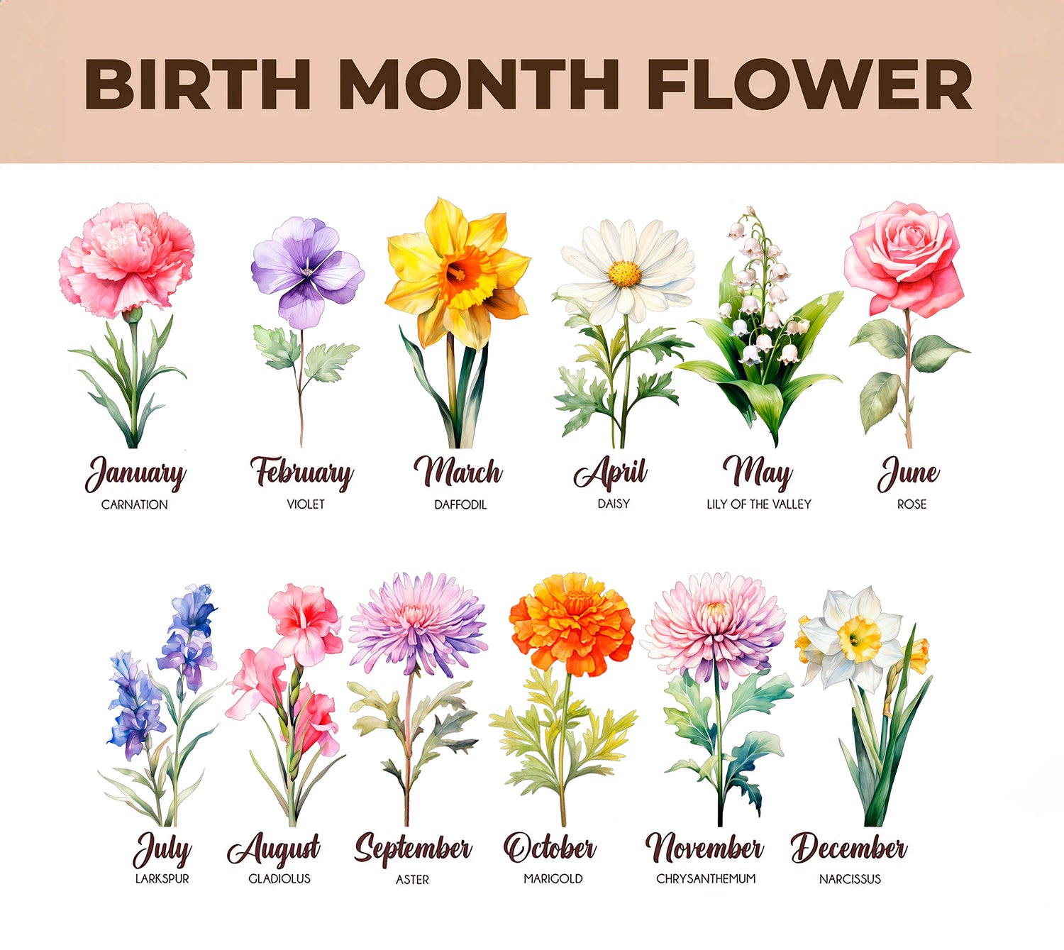 Succulent Birth Flower Planter Pot