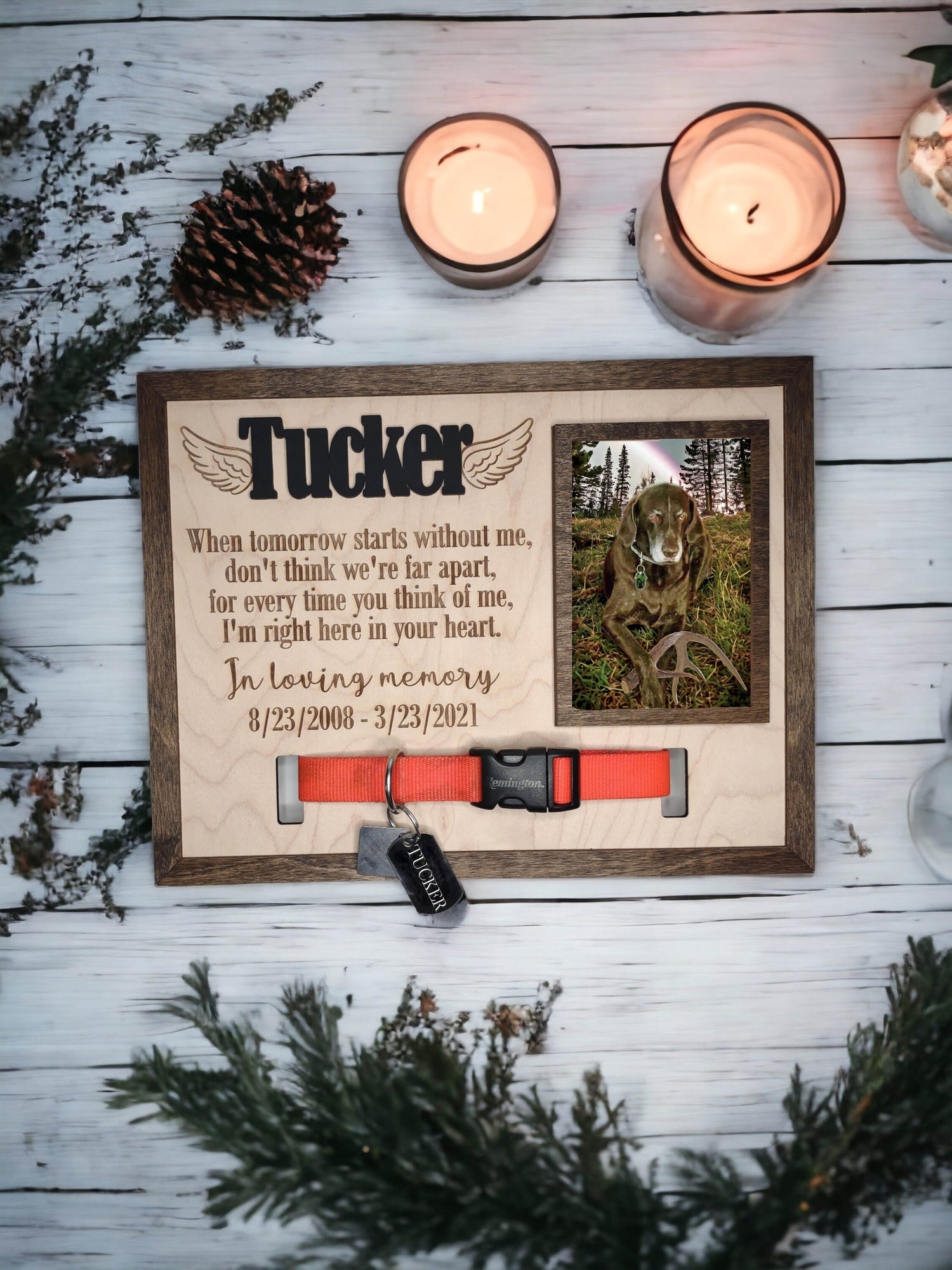 Memorial Pet Collar Sign, Personalized Dog Loss Collar Holder, Cat loss, animal picture frame, sympathy, dog remembrance, Pet Portrait
